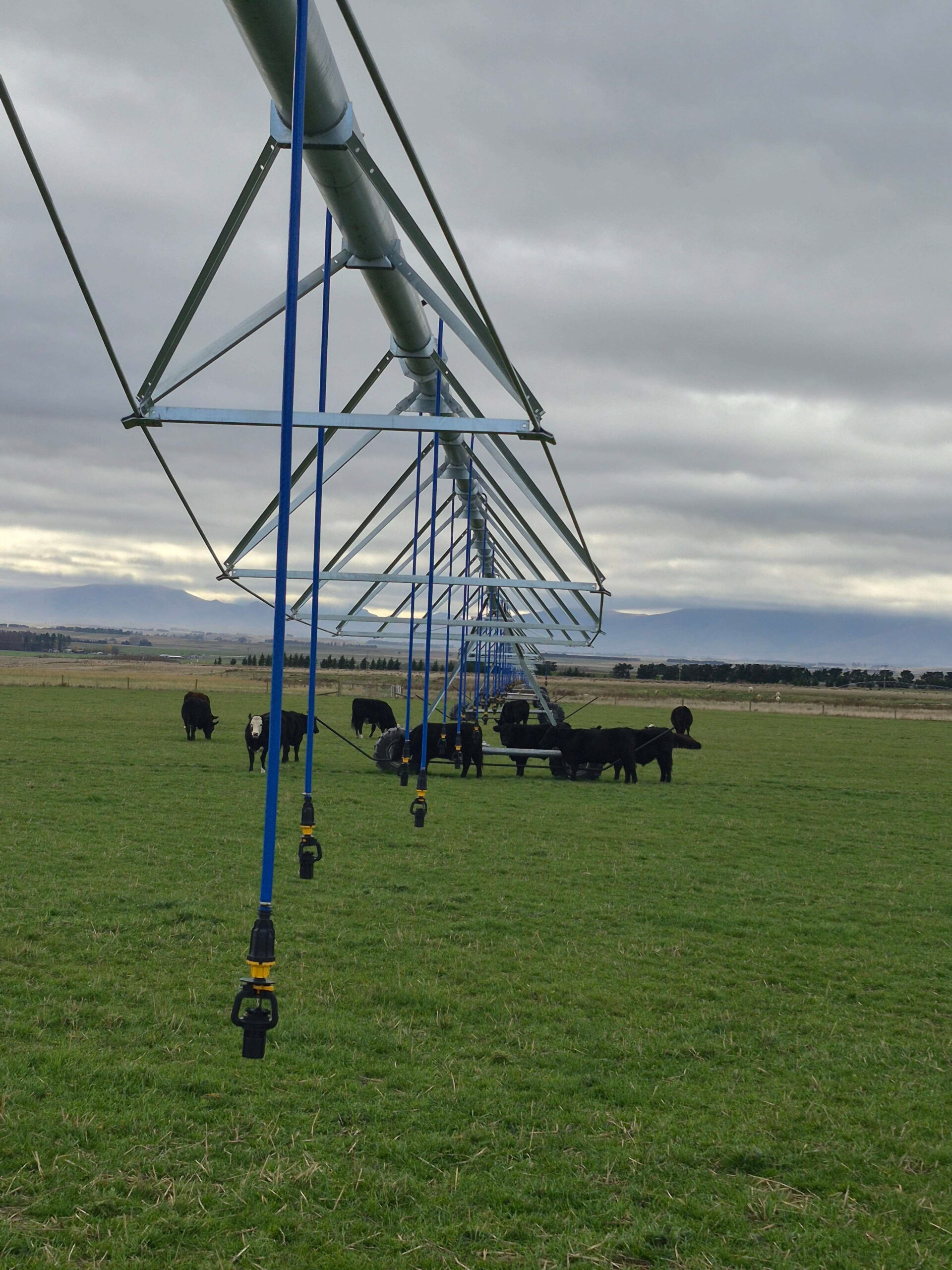 Ranfurly-NZ.