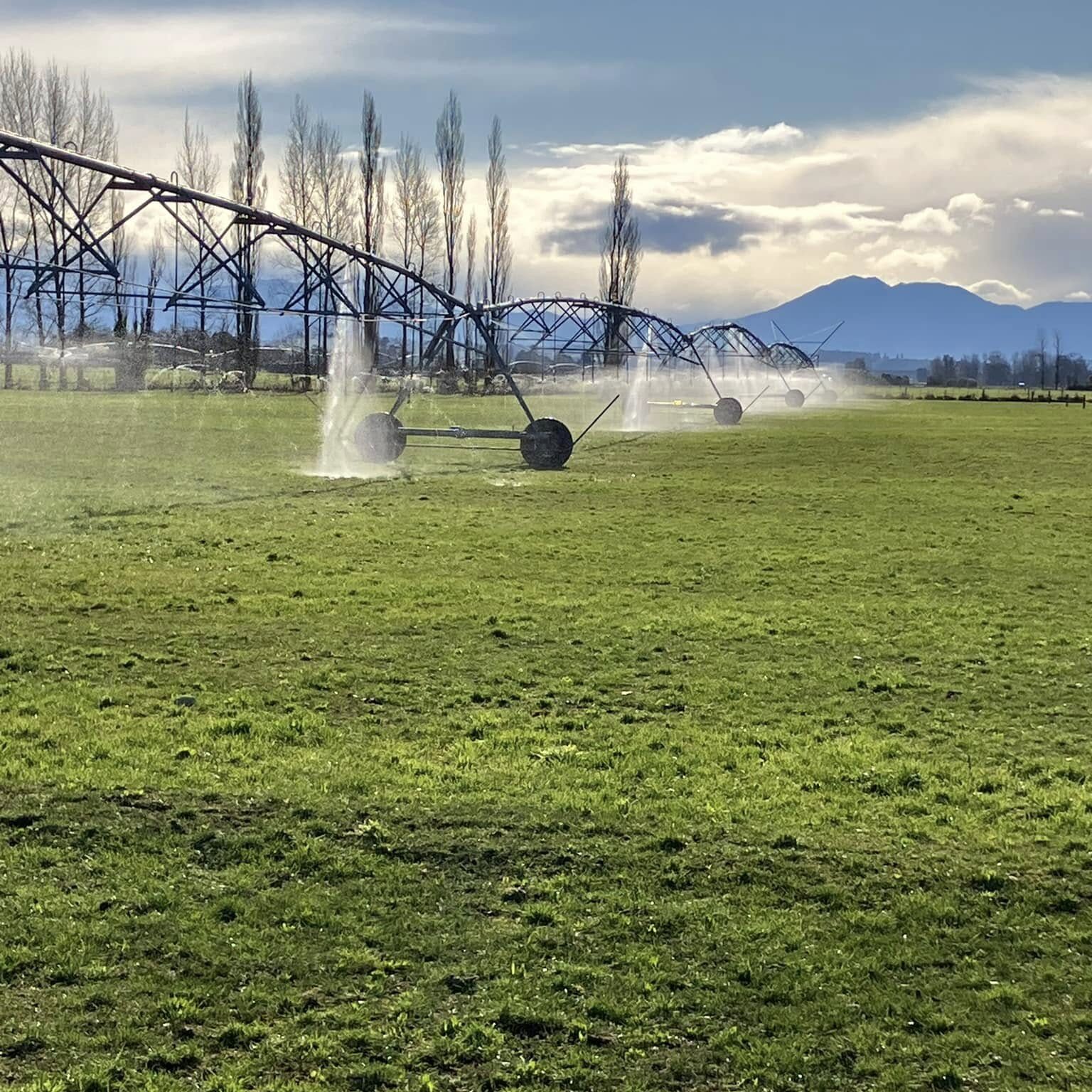 Leaky pivot